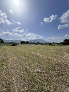 Na prodaju plac u naselju Begovina, Danilovgrad Slika