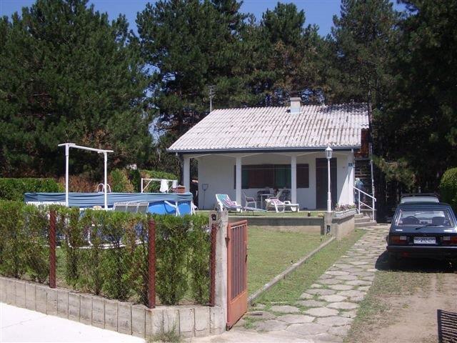 Odmor u Vincima, na Dunavu, u borovoj šumi, povoljno
