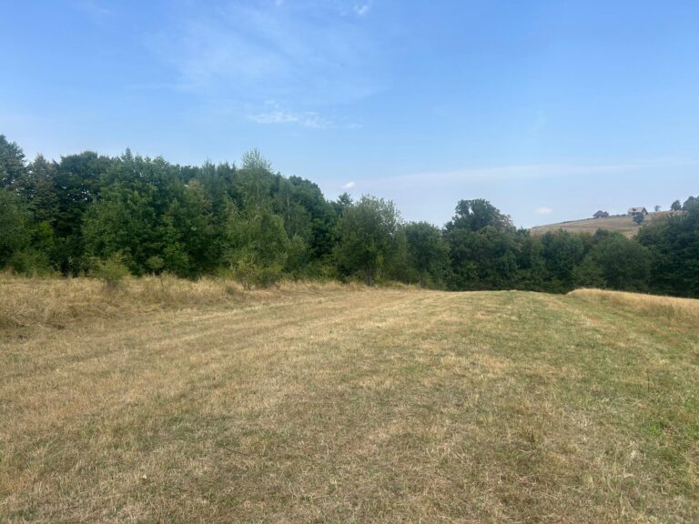 Placevi za gradnju na Zlatiboru 1,2 km od hotela Palisad