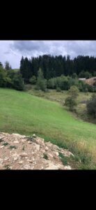 Prodaja placa na Zlataru