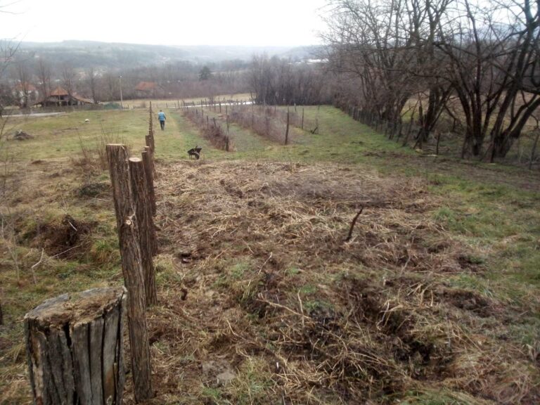 Prodajem placeve na Kosmaju