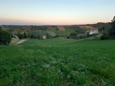 Sremski Karlovci Rasa plac